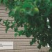 Сайдинг Ю-Пласт TIMBERBLOCK Пихта (Тимберблок) Cахалинская купить в Костроме