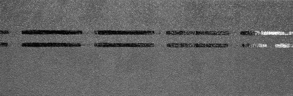 Коньково-карнизная черепица Docke Premium, черника купить в Костроме