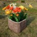 Цветник КАНЬОН купить в Костроме